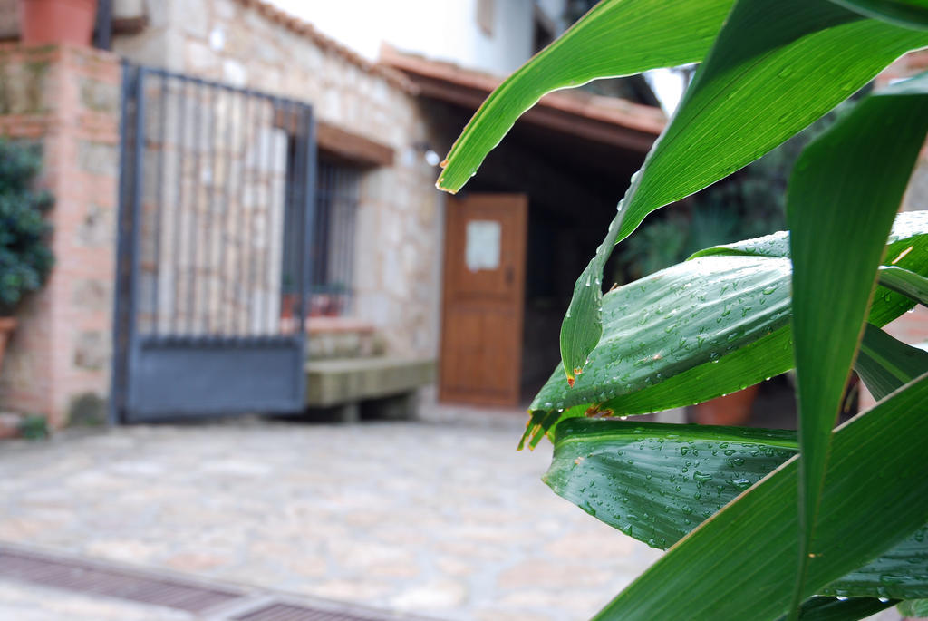 Hostal El Cardenillo Madrigal de la Vera Exterior foto
